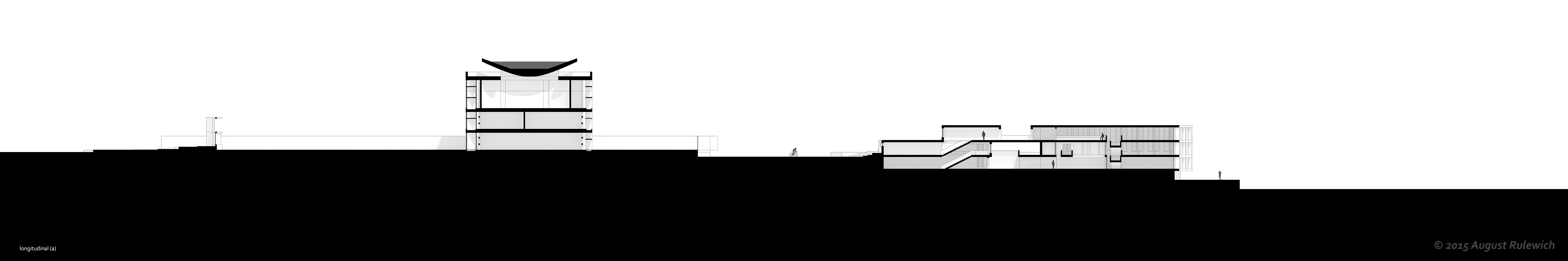 Longitudinal Section A