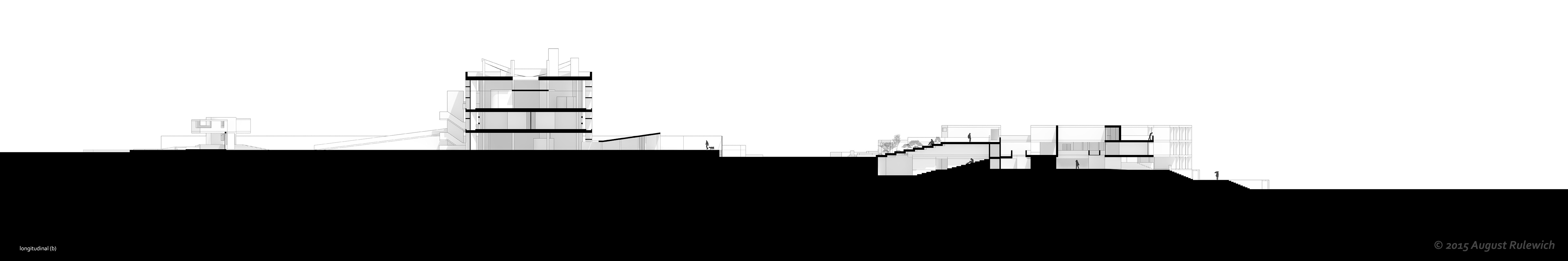 Longitudinal Section B